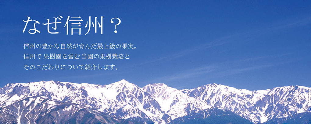 なぜ信州？　信州の豊かな自然が育んだ最上級の果実。信州で農園を営む宮原果樹園の果樹栽培とそのこだわりについて紹介します。